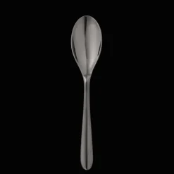 Black Stainless Steel Soup Spoon