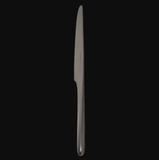 Black Stainless Steel Table Knife