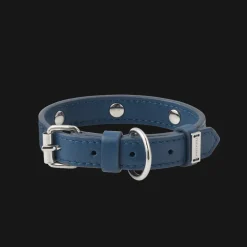 Calf Leather Collar - Size 1
