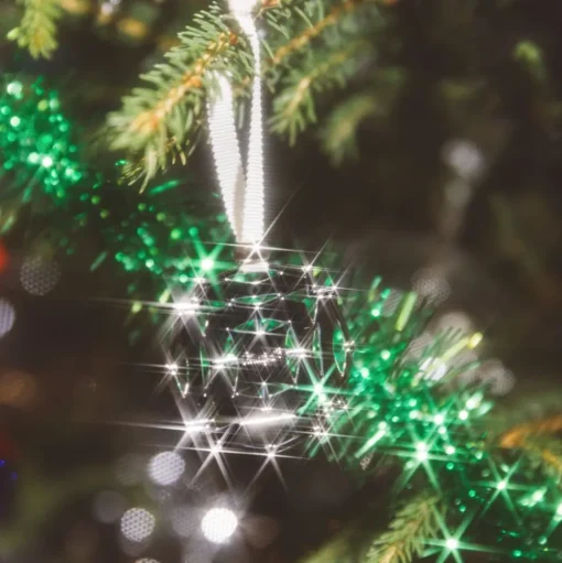 Celebration ornament Round - Silver Plated