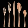 Copper Stainless Steel 5-Piece Place Setting