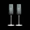 Grey Crystal Flutes - Set of Two