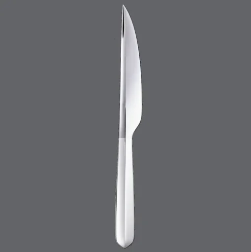 Medium universal knife Infini Silver plated