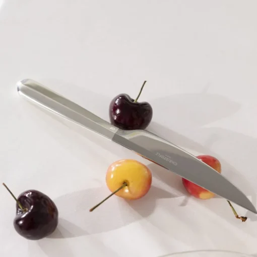 Medium universal knife Infini Silver plated