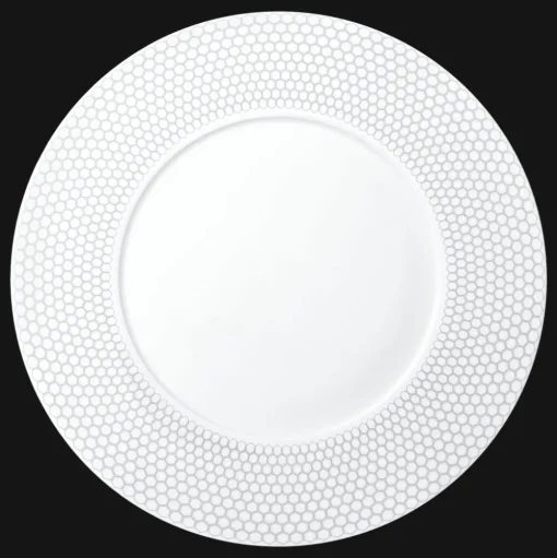 Porcelain Dinner Plate