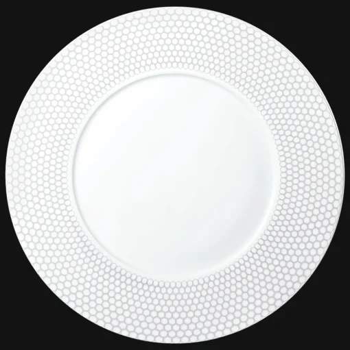 Porcelain Dinner Plate
