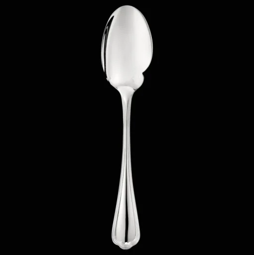 Silver-Plated Sauce Spoon
