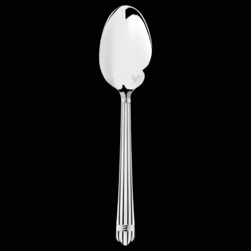 Silver-Plated Sauce Spoon