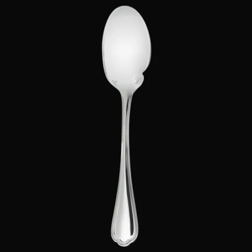 Silver-Plated Sauce Spoon