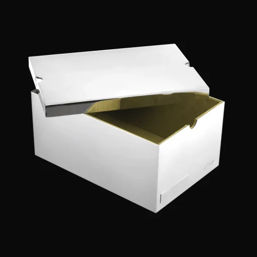 Silver-Plated Sneaker's box