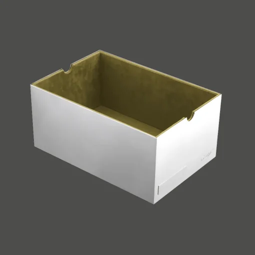 Silver-Plated Sneaker's box