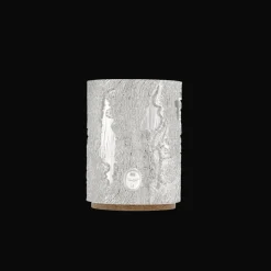 Silver-Plated Vase