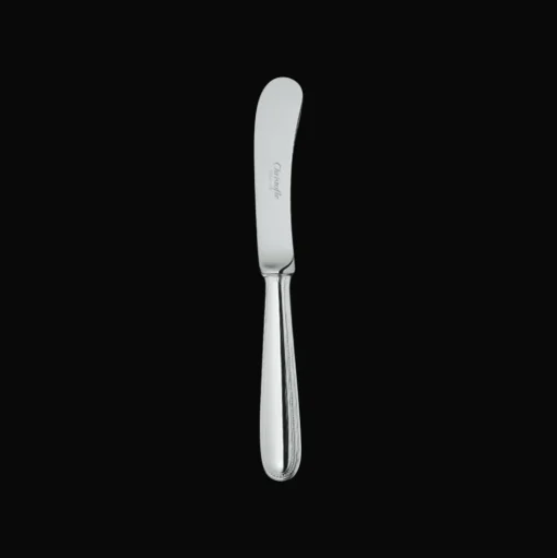 Stainless Steel Butter Knife