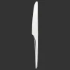 Stainless Steel Dinner Knife