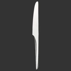 Stainless Steel Dinner Knife