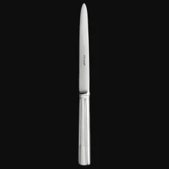 Stainless Steel Dinner Knife