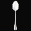 Stainless Steel Serving Spoon
