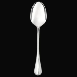 Stainless Steel Serving Spoon