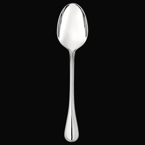 Stainless Steel Serving Spoon