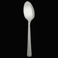 Stainless Steel Serving Spoon