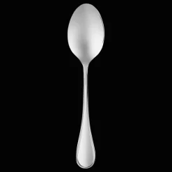 Stainless Steel Serving Spoon
