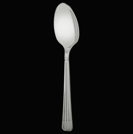 Stainless Steel Serving Spoon