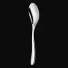 Stainless Steel Serving Spoon