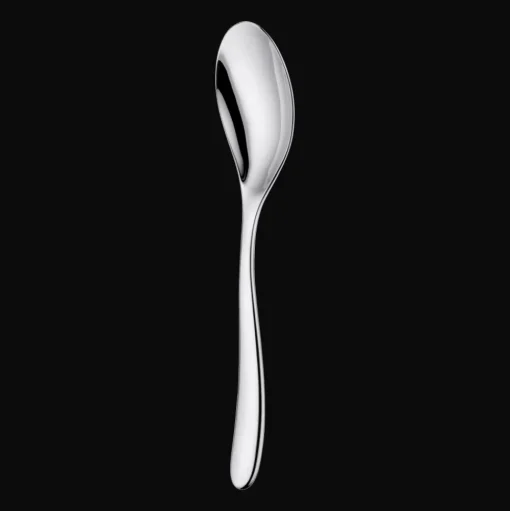 Stainless Steel Serving Spoon