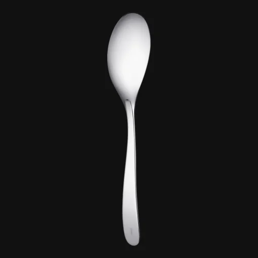 Stainless Steel Serving Spoon