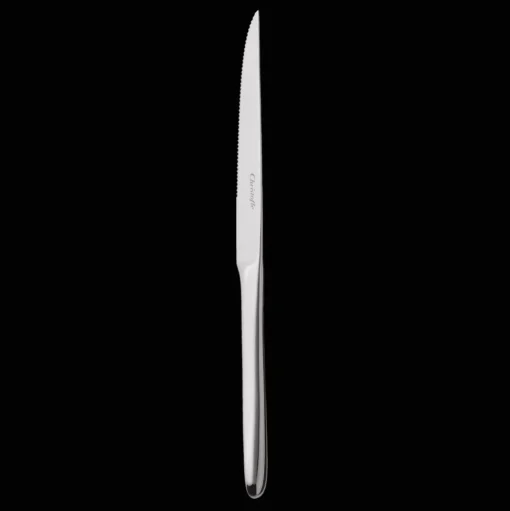 Stainless Steel Steak Knife