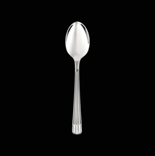 Stainless steel tea spoon